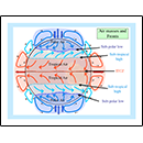 Air Masses and Fronts