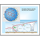 Circulation Patterns and Jets that drive the Troposphere