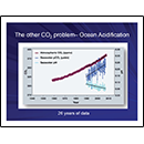 The other CO<sub>2</sub> problem - Ocean Acidification