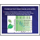 Evidence from fossil leaves and pollen