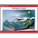 Biological Impact