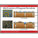 Melt Evolution of Polygonal Permafrost