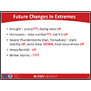 Future Changes in Extremes