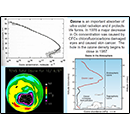 The Importance of Ozone