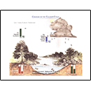 Changes in the Calcium Cycle